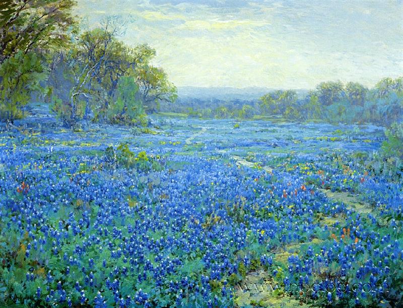 Onderdonk Bluebonnet Scene